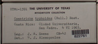Image Associated With the Occurence